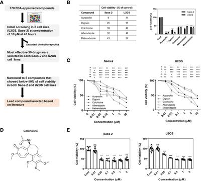 <mark class="highlighted">Colchicine</mark> as a novel drug for the treatment of osteosarcoma through drug repositioning based on an FDA drug library